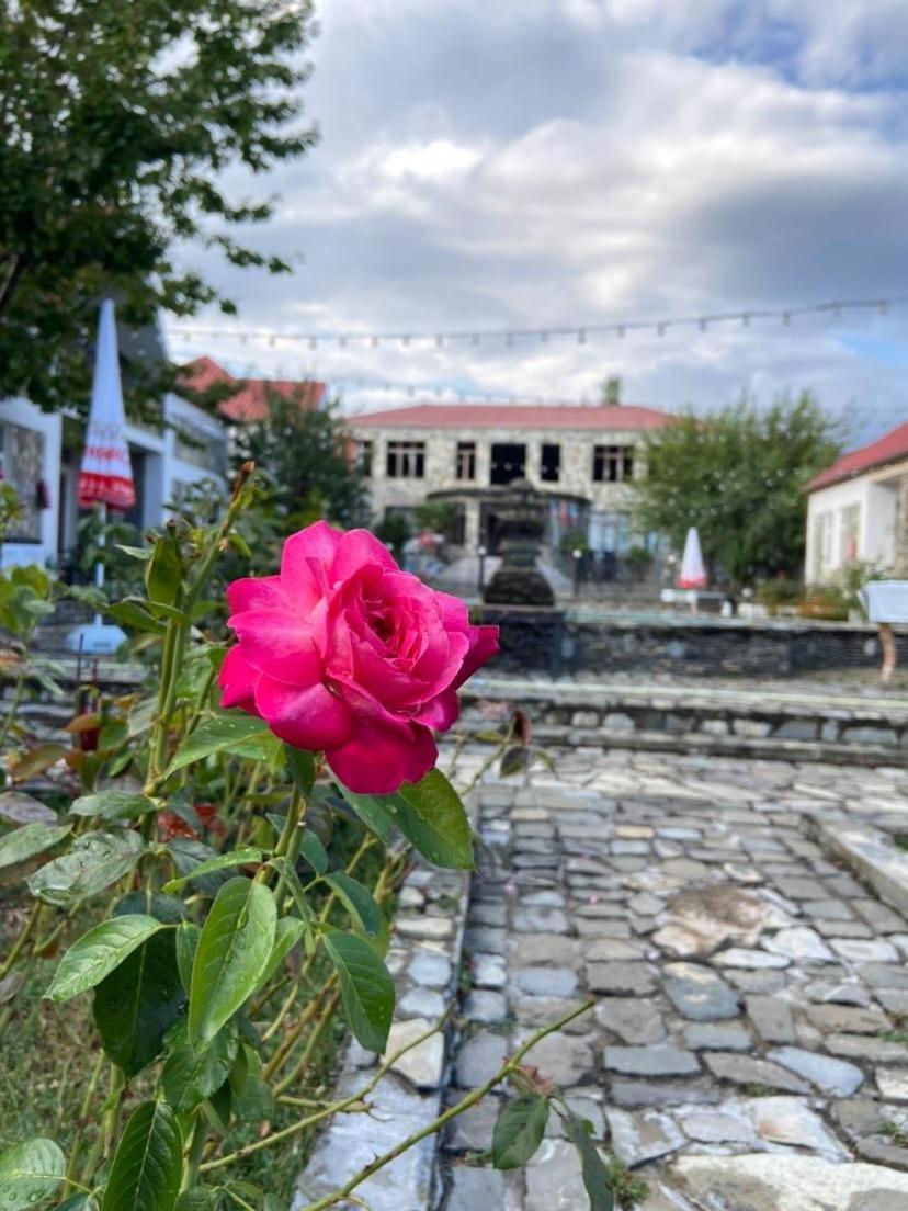 Fgarden Hotel Şǝki Exterior foto